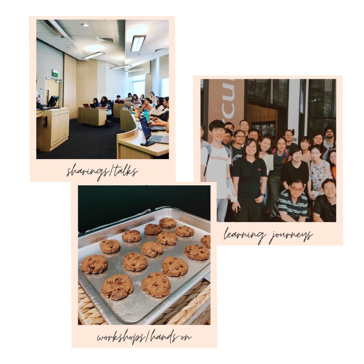 Corporate sharings, learning journeys and hands-on workshops with treatsure